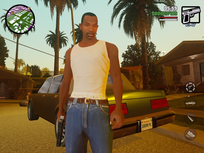 GTA San Andreas Netflix 6