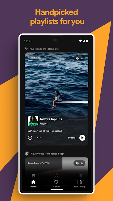 Spotify Premium 3