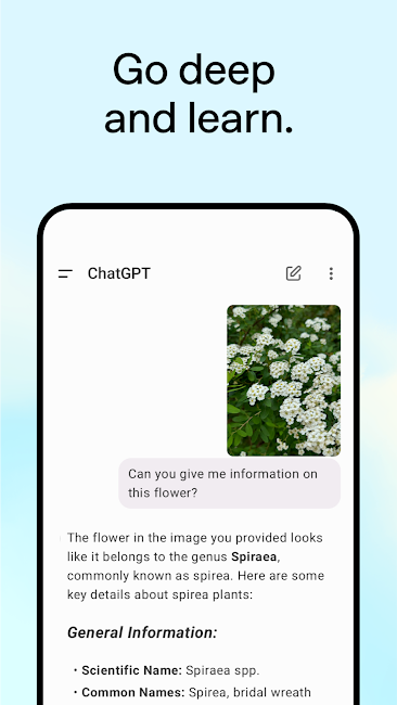 ChatGPT Premium 4