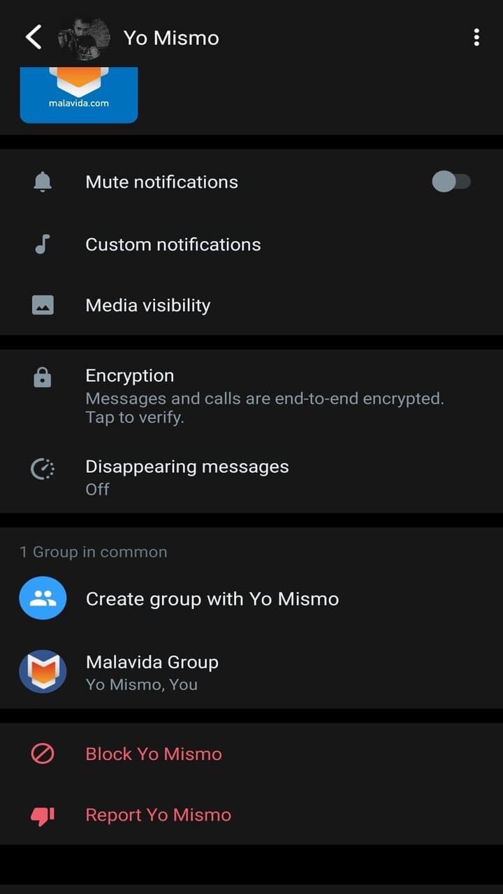 WhatsApp iPhone 2