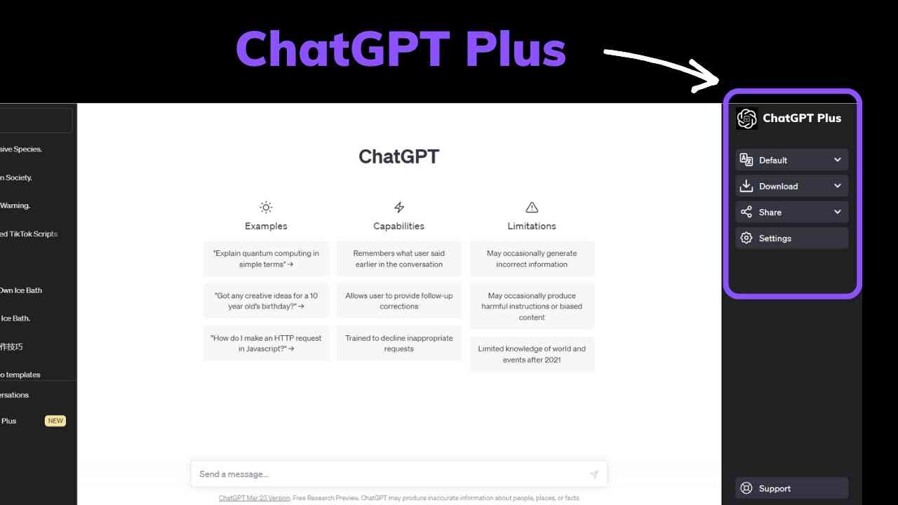 ChatGPT Plus 3