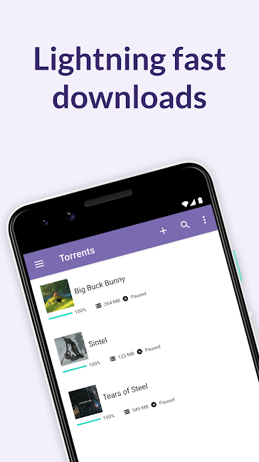 BitTorrent Pro 1