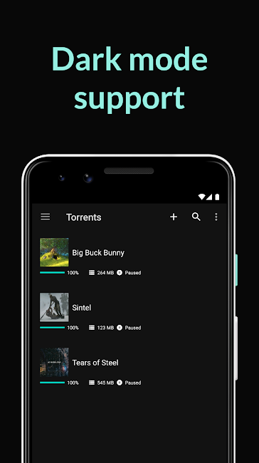 BitTorrent Pro 4