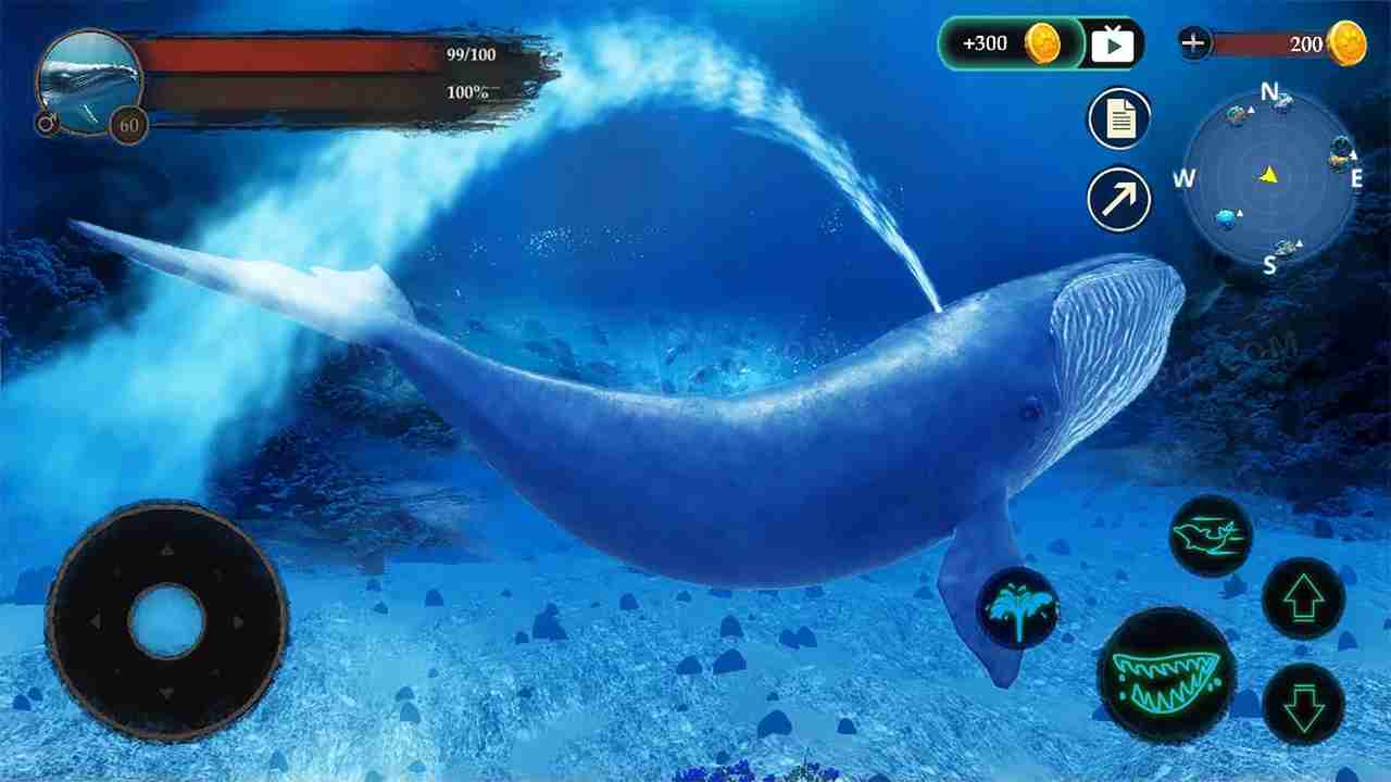 Blue Whale Game 1