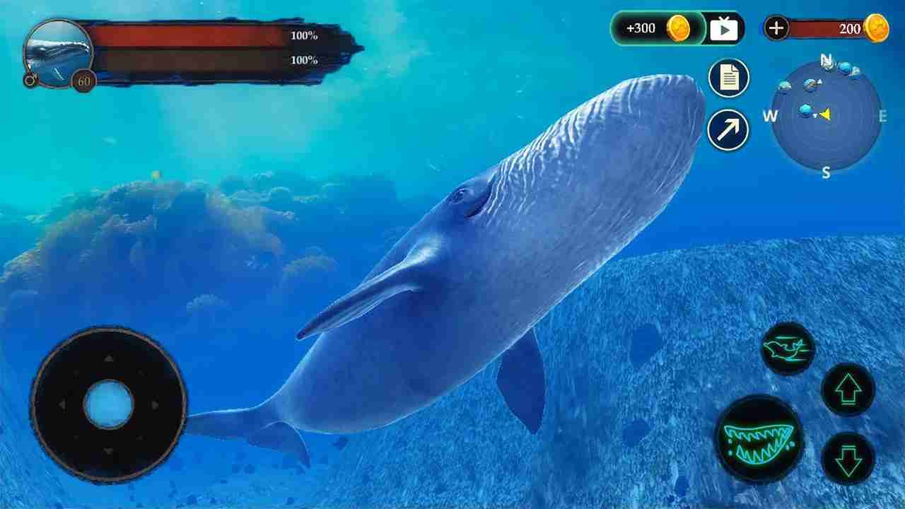 Blue Whale Game 2