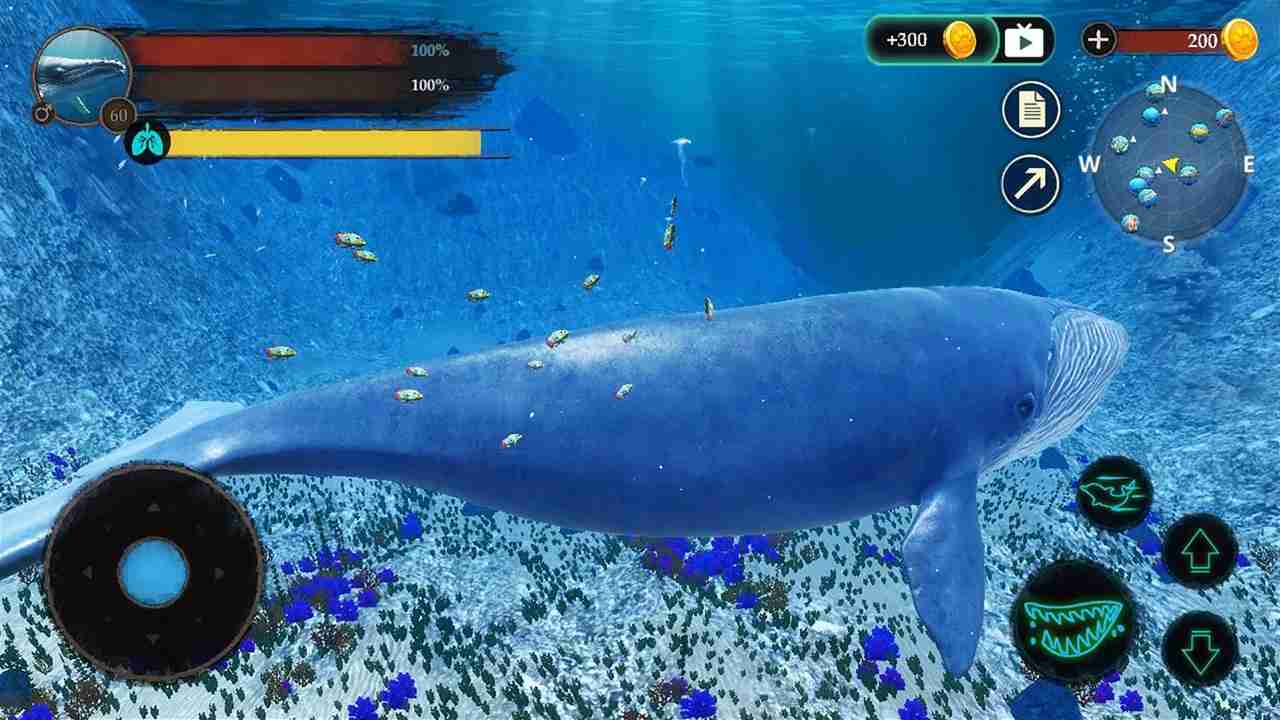 Blue Whale Game 3