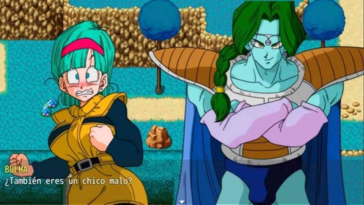 Bulma Adventure 4 4