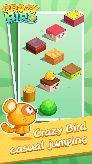 Crazy Bird 1