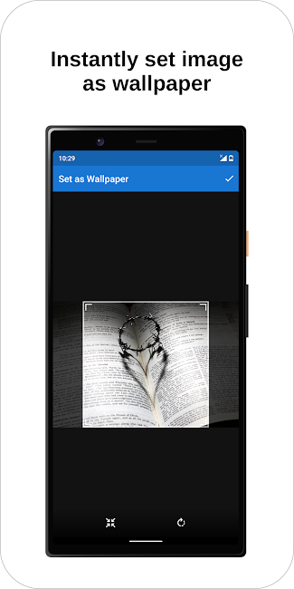 Gallery for Lollipop 6