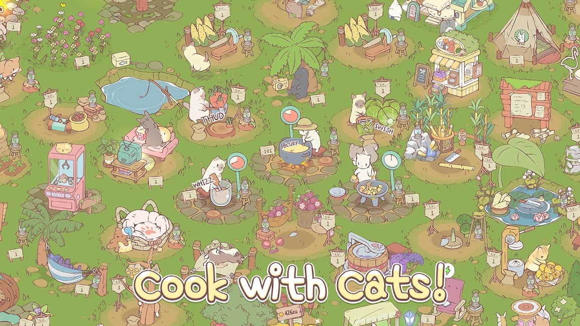 Gatos e sopa 2
