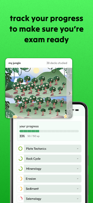 Jungle 4
