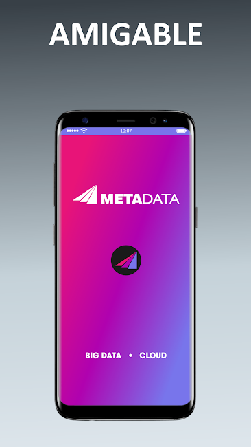 MetaData 1