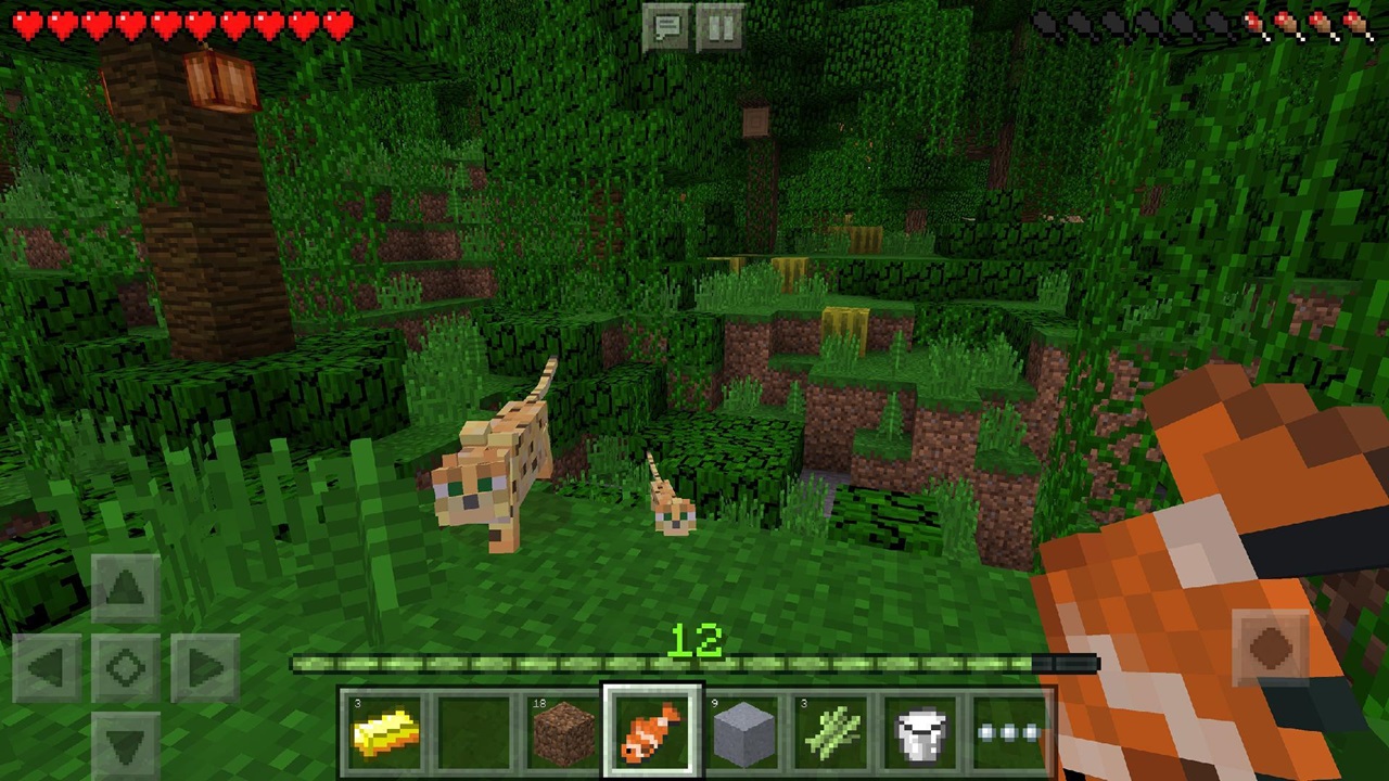 Minecraft 1.21.0.24 2