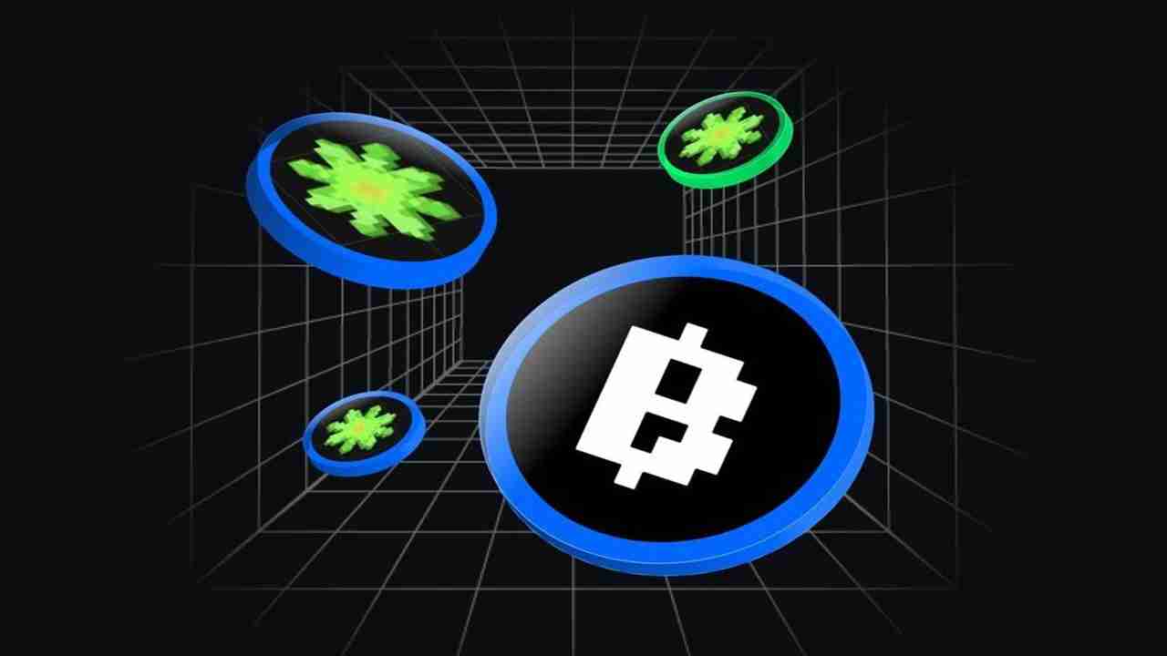 PayCoinTap 2