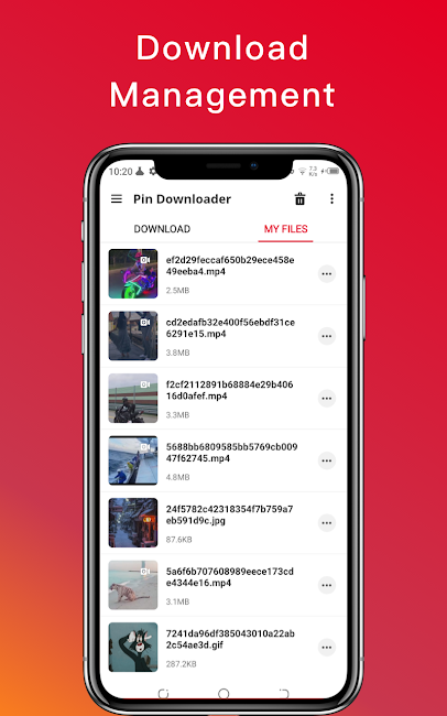 Pinterest Video Downloader 3