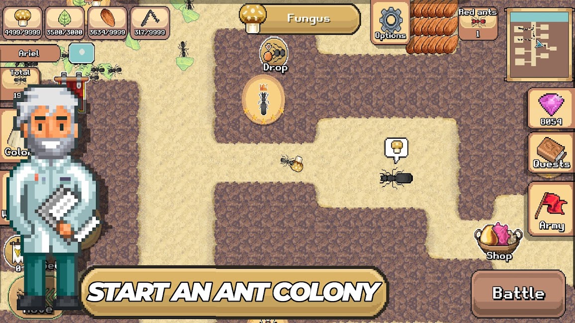 Pocket Ants 1