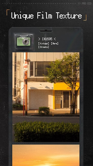 ProCCD 5