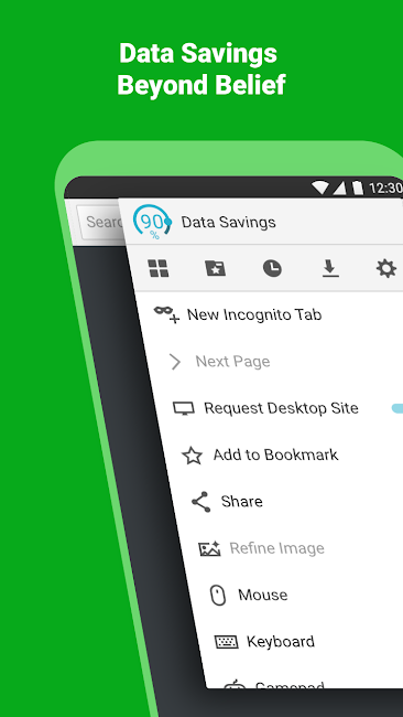 Puffin Cloud Browser 2
