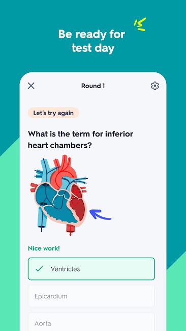 Quizlet 3