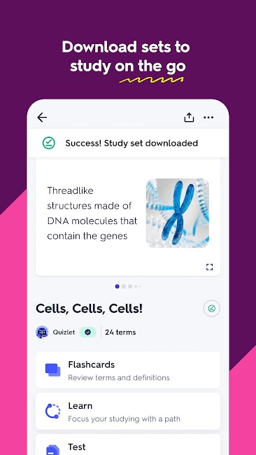 Quizlet 6