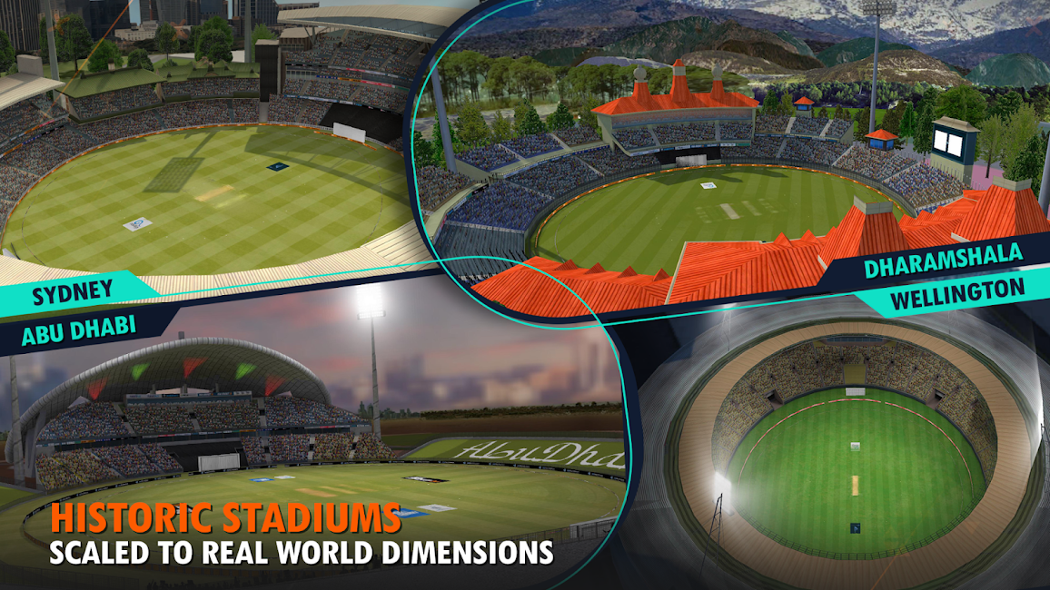 Real Cricket 24 5