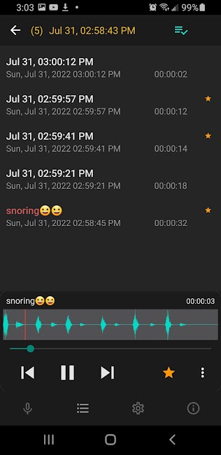 Sleep Recorder 2