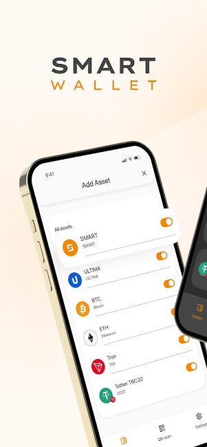 Smart Wallet 1
