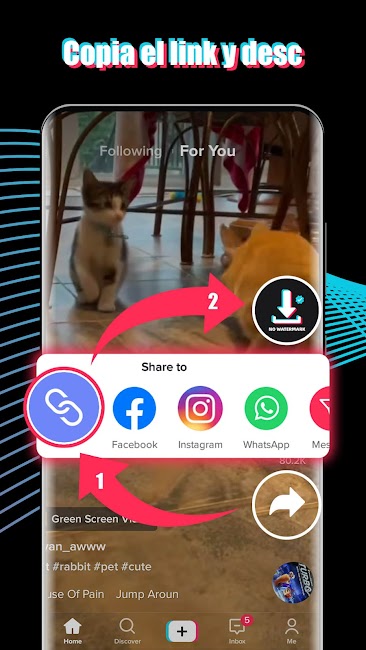 TikTok sin marca de agua 2