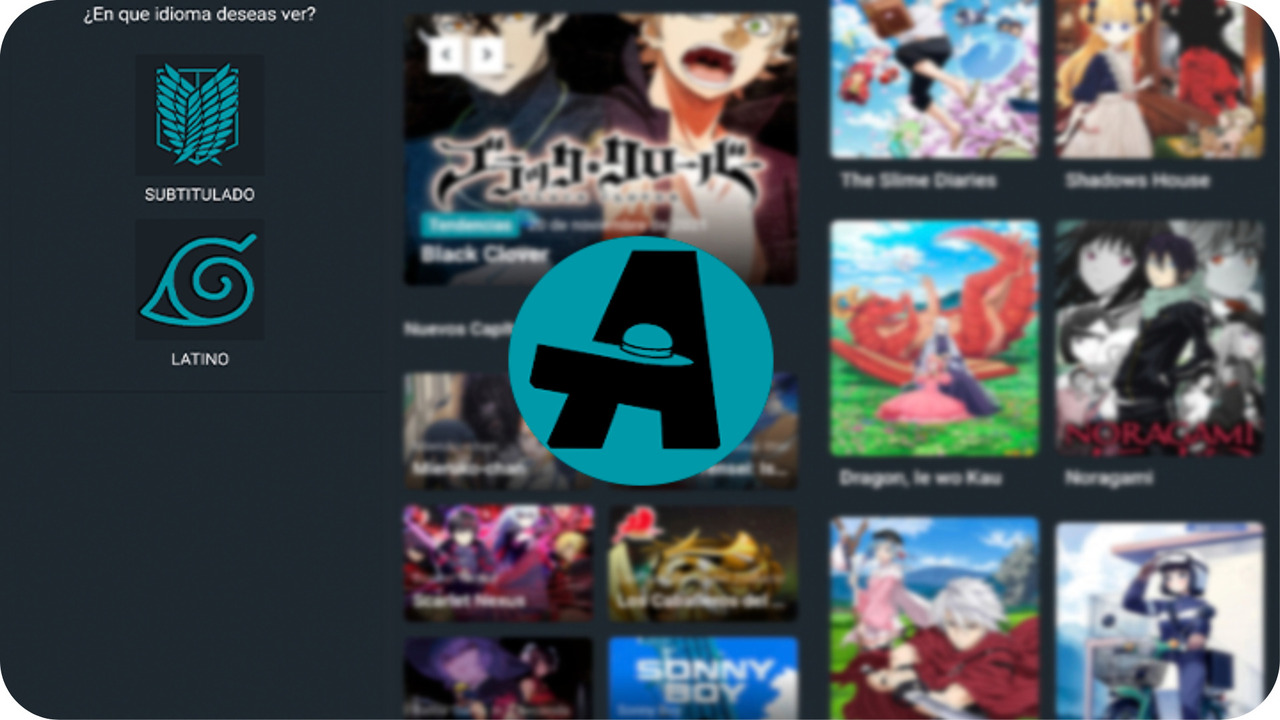 Tio Anime 4