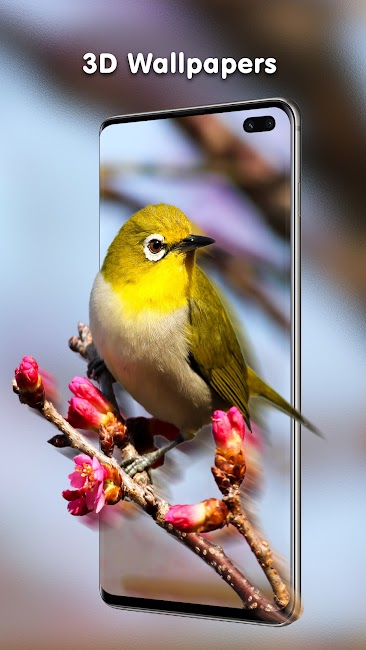 Transparent Live Wallpaper 4