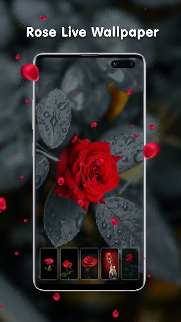 Transparent Live Wallpaper 5