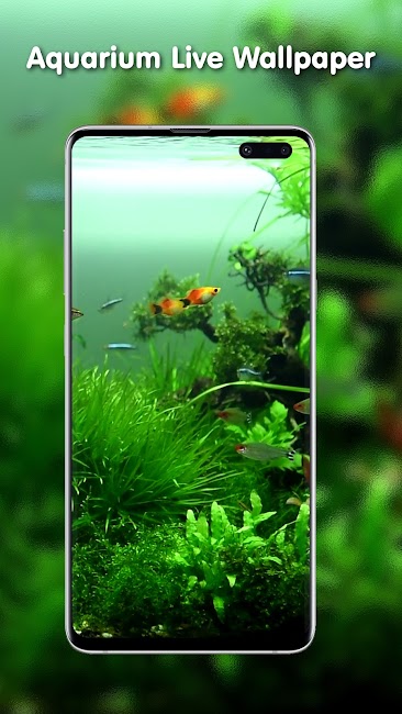 Transparent Live Wallpaper 6