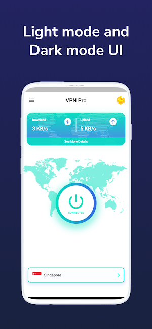 VPN Pro 4