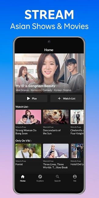 Viki 1