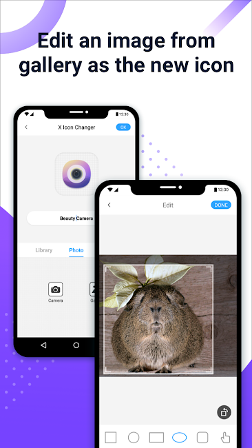 X Icon Changer 3